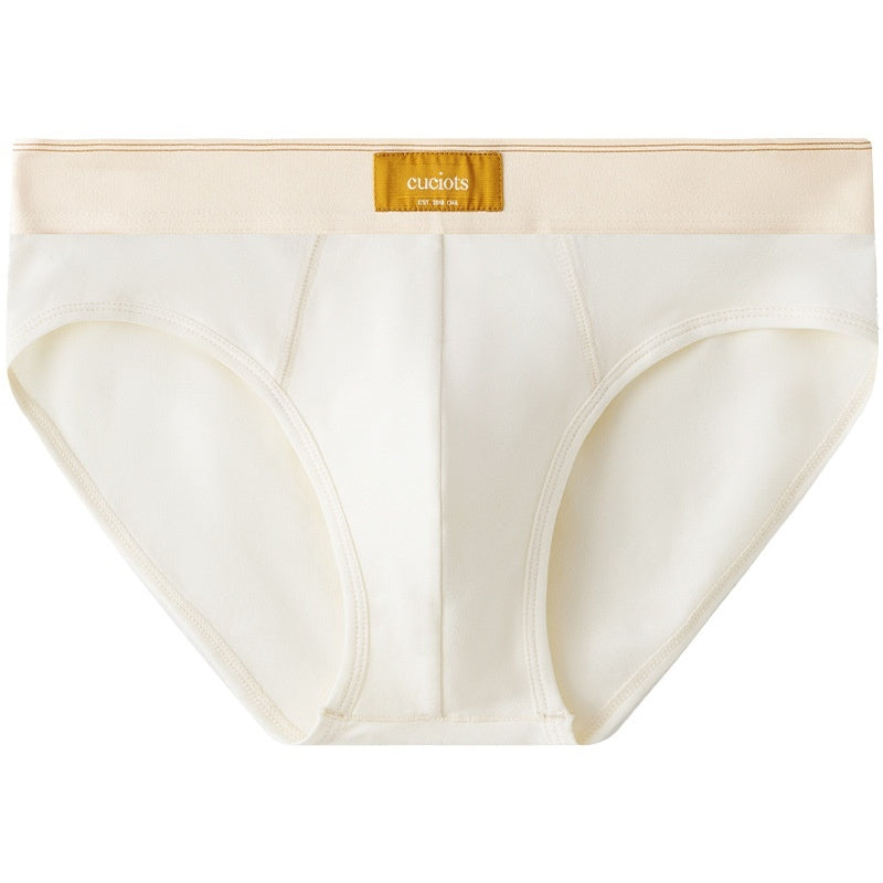 New Men's Briefs Pure Cotton Simple Solid Color Sexy
