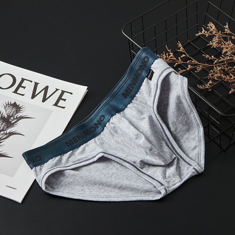 Men's Underwear Low Waist Cotton Tight Sexy Comfortable Breathable