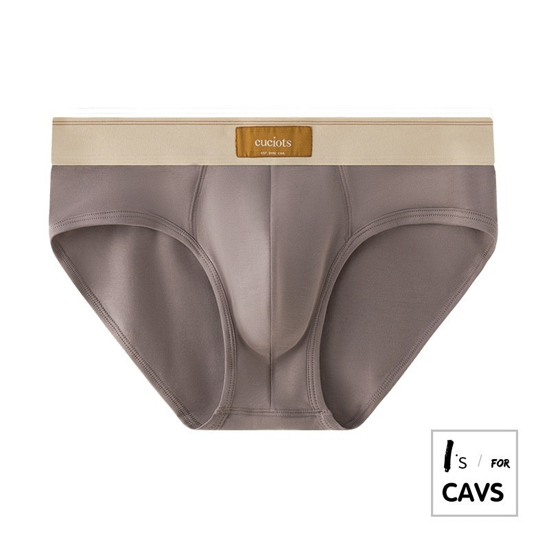 New Men's Briefs Pure Cotton Simple Solid Color Sexy