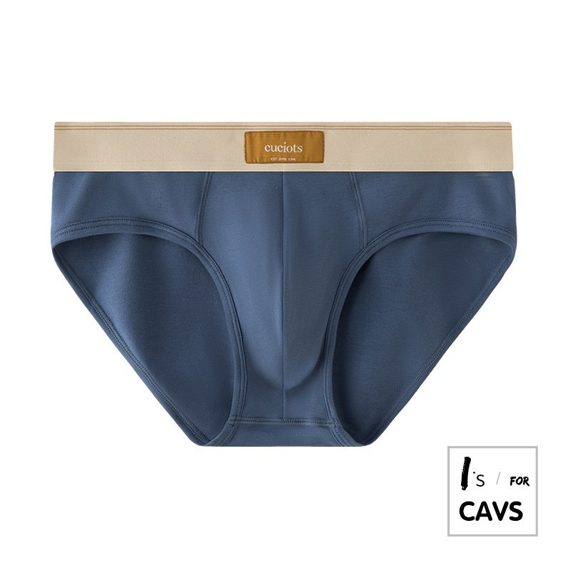 New Men's Briefs Pure Cotton Simple Solid Color Sexy