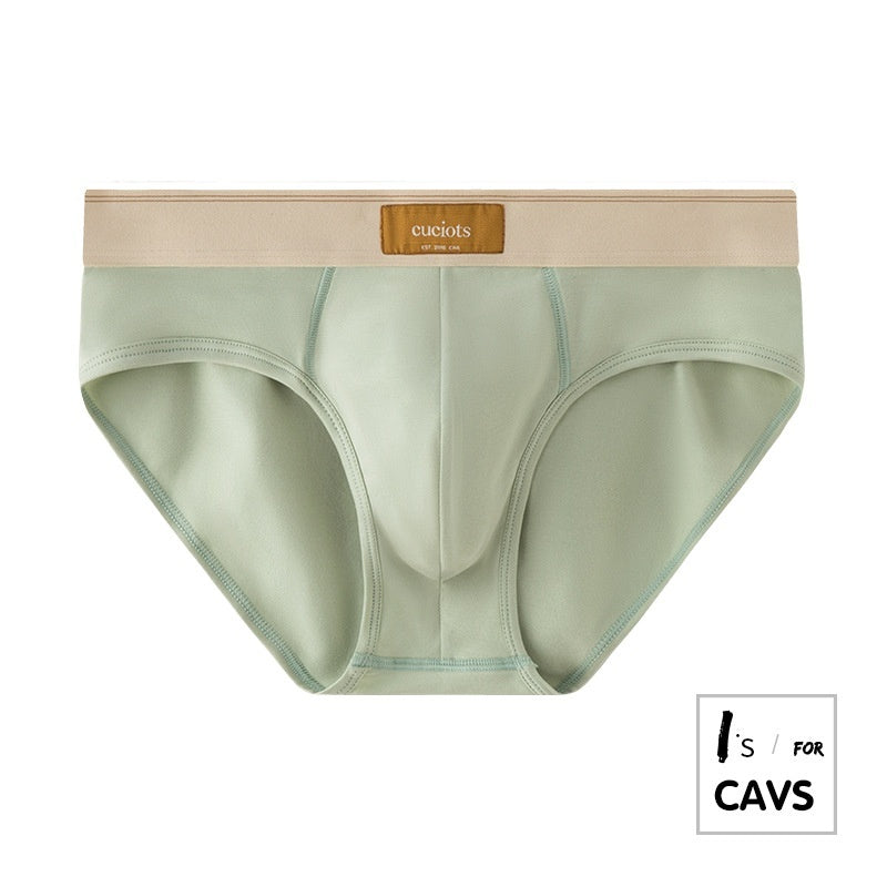 New Men's Briefs Pure Cotton Simple Solid Color Sexy