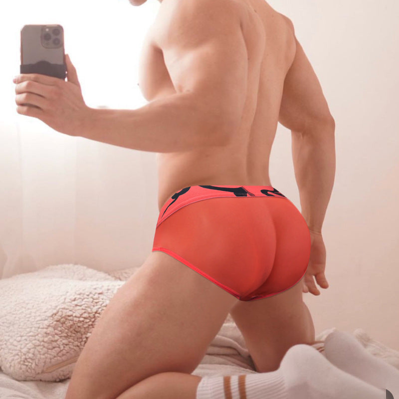 Sports Breathable Cotton Solid Color Fashion Fitness Trendy Boxers